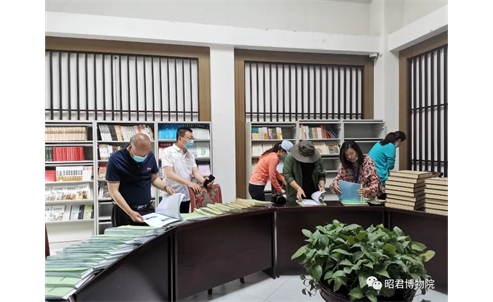 自治区文物安全大排查第四核查督导组深入检查昭君博物院文物保护安全工作