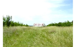 历史上的“高速公路”秦直道