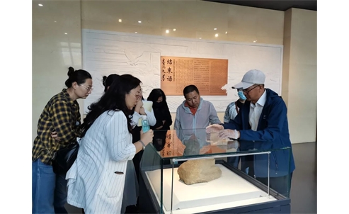 昭君博物院开展馆藏文物定级工作